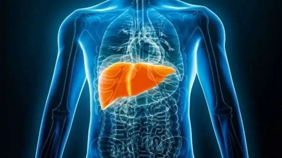 Health Tips- आपकी इन आदतों की वजह से कमजोर हो रहा हैं लिवर, जानिए इनके बारे में