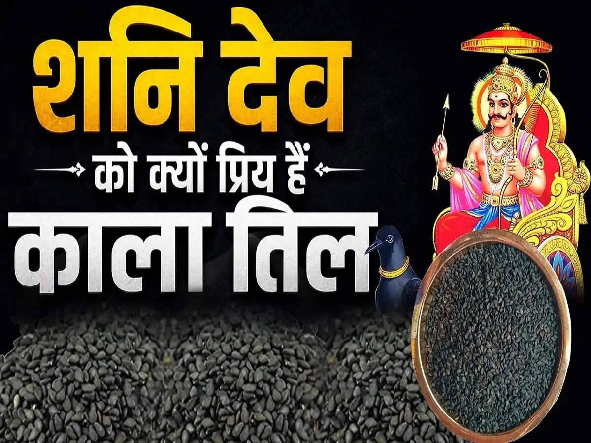Jyotish Tips- शनि देव को बहुत पसंद हैं काला तिल, जानिए इसकी पूरी डिटेल्स