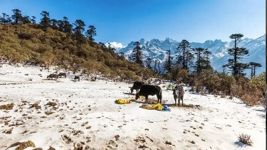 Travel Tips- भारतीयों को खूब भा रही हैं ये जगह,&nbsp;मात्र&nbsp;50 हजार में काट सकते हैं मौज
