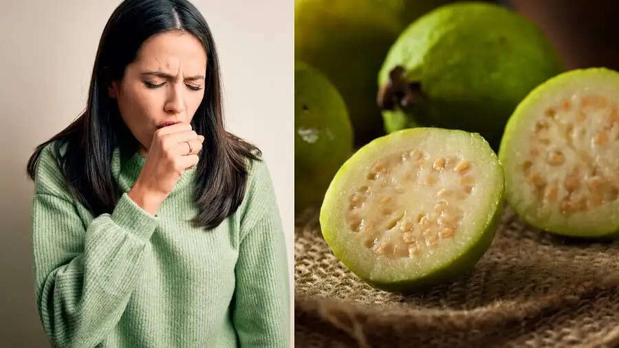 Health Tips- भुना हुआ अमरूद खाने से मिलती है इन स्वास्थ्य समस्याओं से छुटकारा,जानिए पूरी डिटेल्स