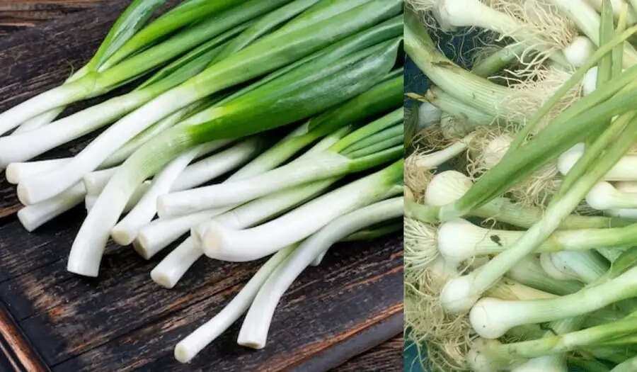 Health Tips-&nbsp;हरा प्याज खाने से मिलते हैं ये स्वास्थ्य लाभ, जानिए कैसे करना है सेवन