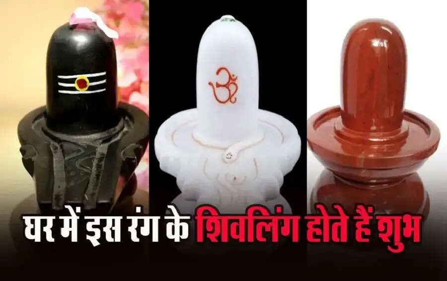Jyotish Tips- घर में कौनसे कलर का शिवलिंग रखना चाहिए, काला या सफेद