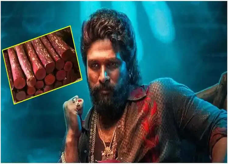 लाल चंदन के एक किलो की कीमत होती है इतनी, करोड़ों का है कारोबार, क्लिक कर जानें यहाँ