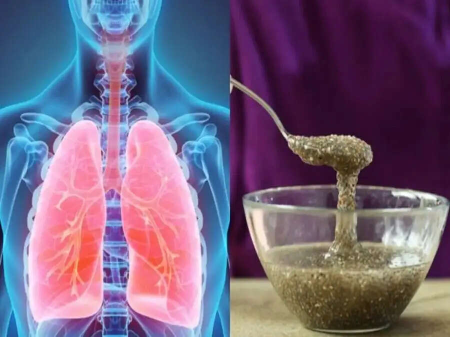Health Tips- क्या फेफड़ों में जम गई हैं गंदगी, तो इन फूड्स का करें सेवन
