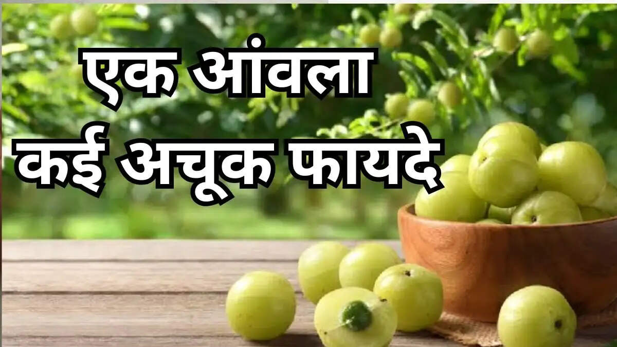 Health Tips- खाली पेट आंवला खाने के लाभ जानकर हैरान हो जाएंगे आप, ऐसे करें इसका सेवन
