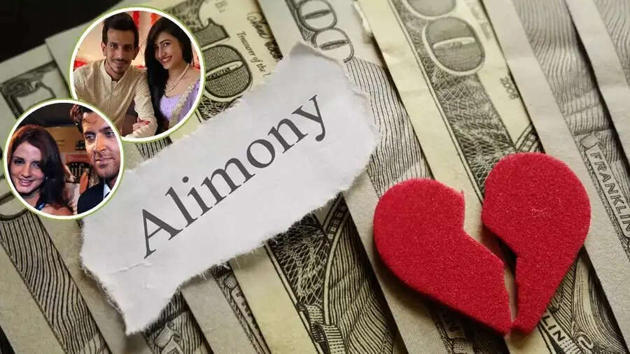 Alimony Tips-  आखिर तलाक के बाद क्यों देनी पड़ती एलिमनी और कितनी, जानिए इसके बारे में पूरी डिटेल्स