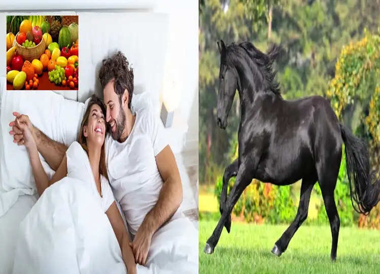मर्दों के लिए वियाग्रा की तरह काम करते हैं ये 4 फल, रोजाना करें सेवन, मिलेगी 100 घोड़ो जितनी ताकत