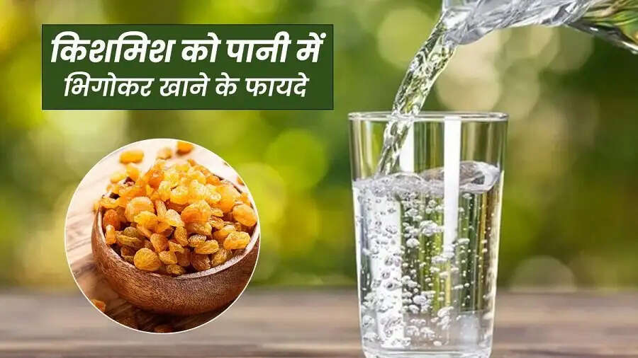 Health Tips- सर्द मौसम में इस ड्राई फ्रूट का सेवन करना होता हैं फायदेमंद, जानिए कैसे करना है सेवन