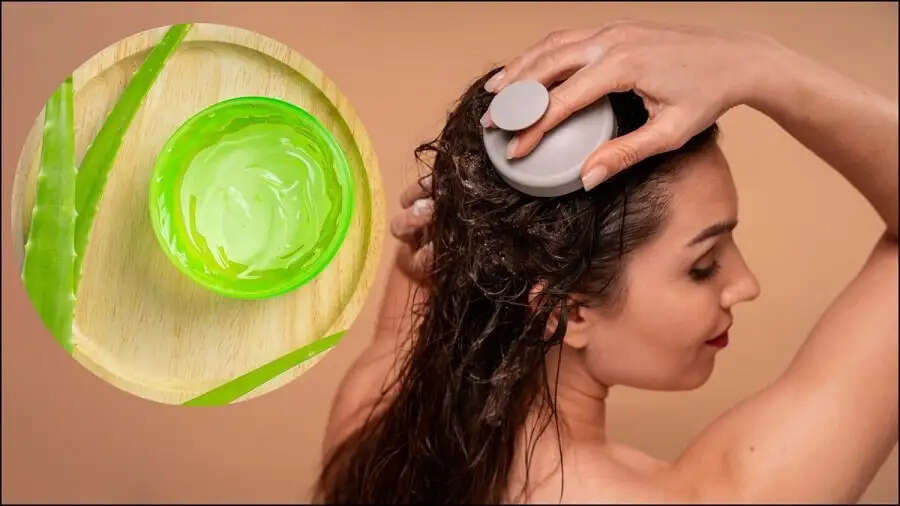Hair Care Tips-&nbsp;क्या बाल रूखें और बेजान हो गए है, तो बालों में लगाए एलोवेरा