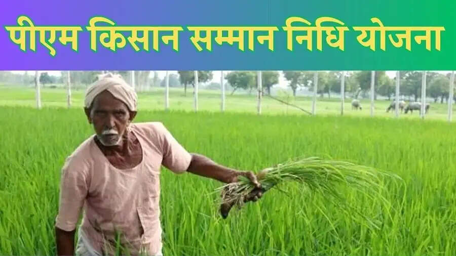 PMKSNY-&nbsp;इस माह जारी होगी पीएम किसान सम्मान निधि योजना की&nbsp;20वीं किस्त, क्या आपका लिस्ट में हैं नाम