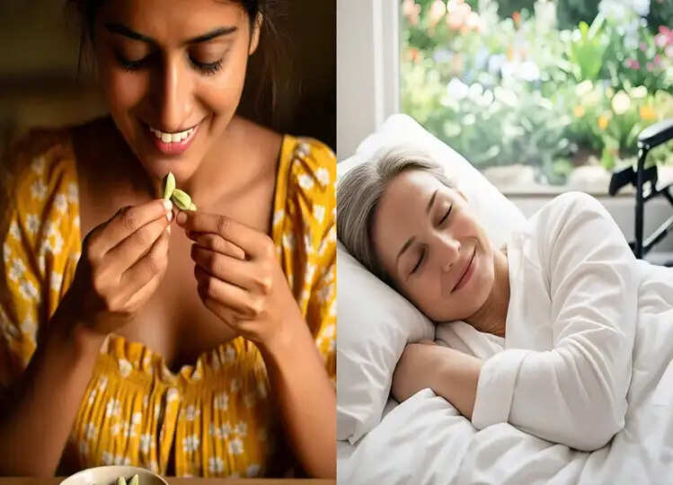Health: अगर रात को सोते समय आप ने भी चबा ली ये चीज तो दिखेगा ऐसा असर कि आप भी जरूर आजमाएंगे ये नुस्खा
