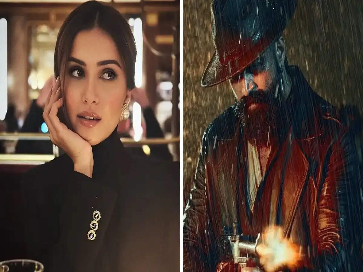 Entertainment News- तारा सुतारिया ने बताया, आखिर क्यों हो रही हैं टॉक्सिक रिलीज में डीले