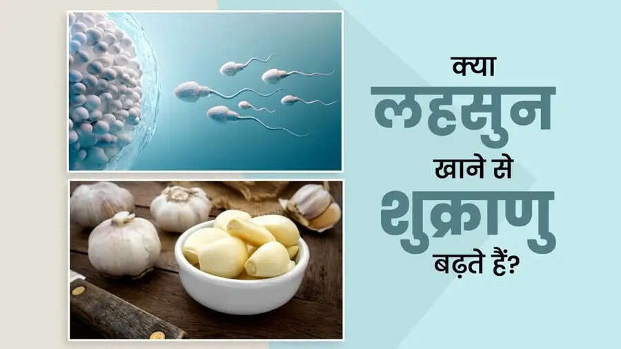 Health Tips-&nbsp;क्या सच में लहसुन खाने से बढ़ जाता हैं स्पर्म काउंट, जानिए पूरी डिटेल्स