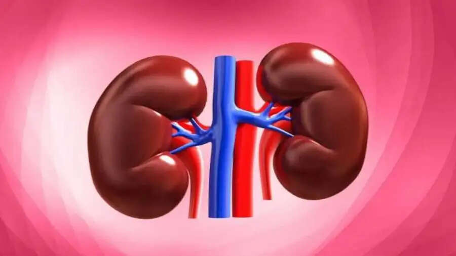 Health Tips-&nbsp;किडनी खराब हो रही हैं, तो रात दिखाई देंगे ये लक्षण