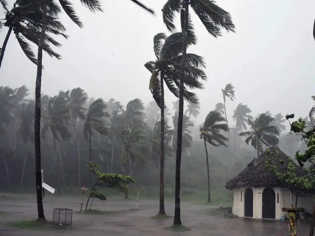 Weather Update- मौसम विभाग ने दी बारिश और तूफान की चेतावनी,&nbsp;80 की स्पीड से चलेंगे झोंके
