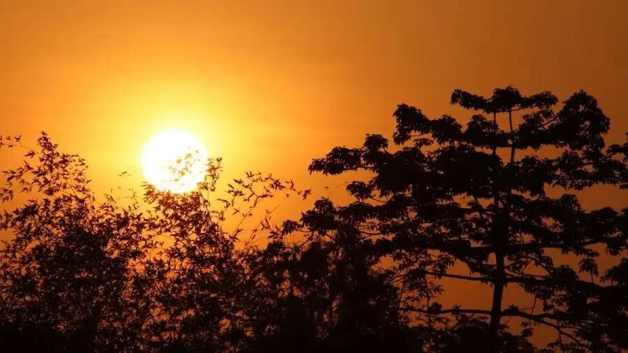 Longest Day-&nbsp;इस ग्रह पर होता है सबसे लंबा दिन, जानिए इस ग्रह के बारे में