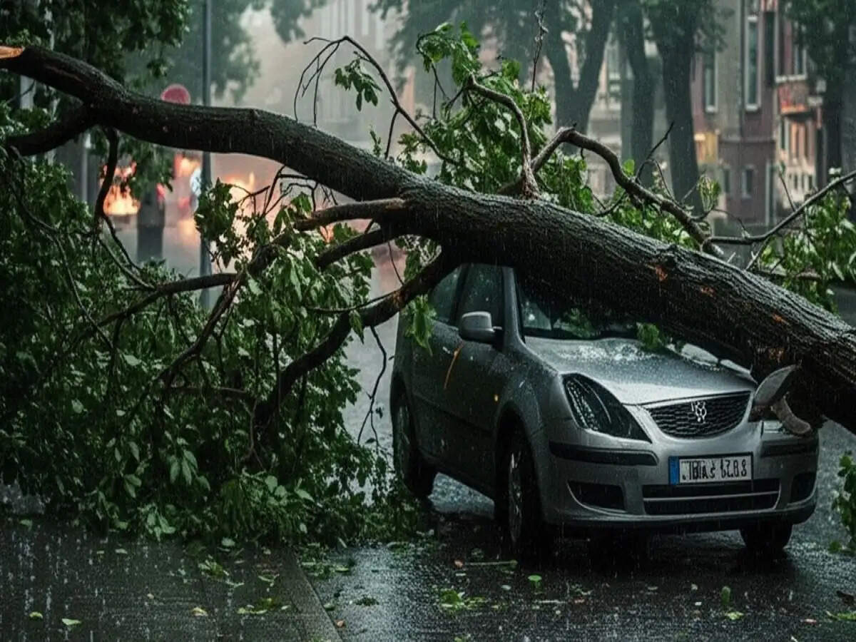 Tree Fell on Car Insurance Claim: आंधी से कार पर गिर जाए पेड़, तो क्या इंश्योरेंस कंपनी क्लेम देगी, आइए जानें