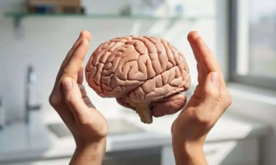 Health Tips-&nbsp;आपकी ये बुरी आदतें आपके ब्रेन को कर देती हैं डैमेज, जानिए पूरी डिटेल्स