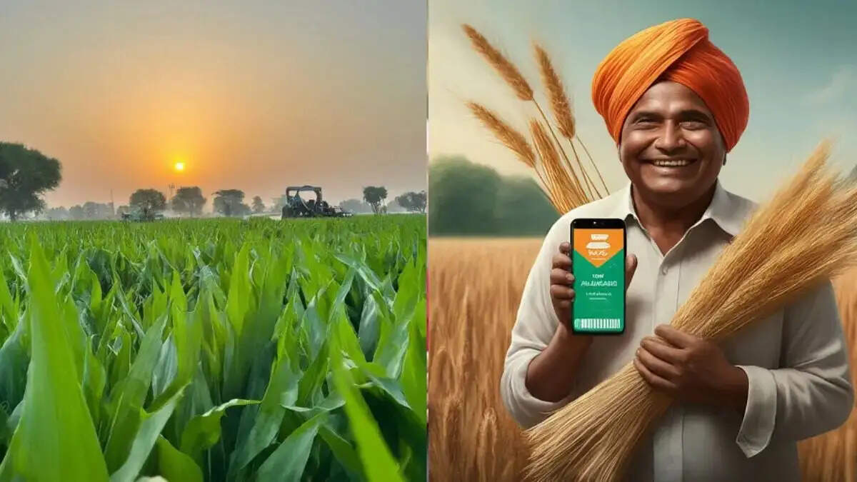 PMKSNY- क्या आप पीएम किसान योजना के लिए करना चाहते हैं आवेदन, जानिए इसका आसान प्रोसेस