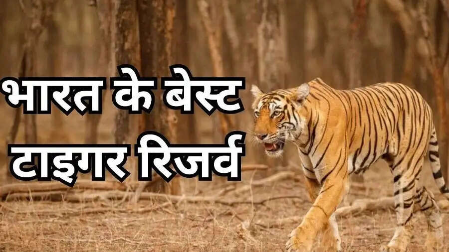 Travel Tips-&nbsp;भारत के सबसे फैमस टाइगर रिजर्व, जानिए इनके बारे में
