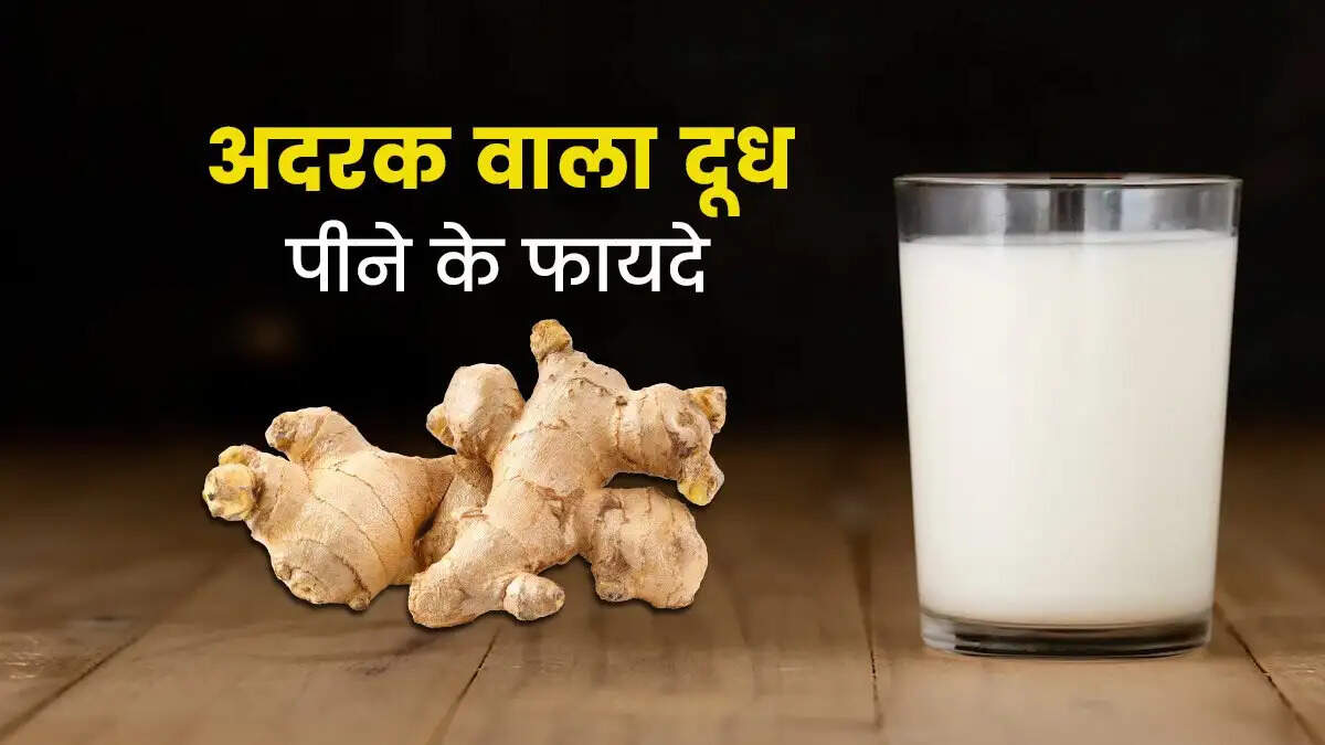 Health Tips- अदरक का दूध सर्दियों में पीने से मिलते हैं कई फायदें, जानिए किस समय और कैसे करें सेवन