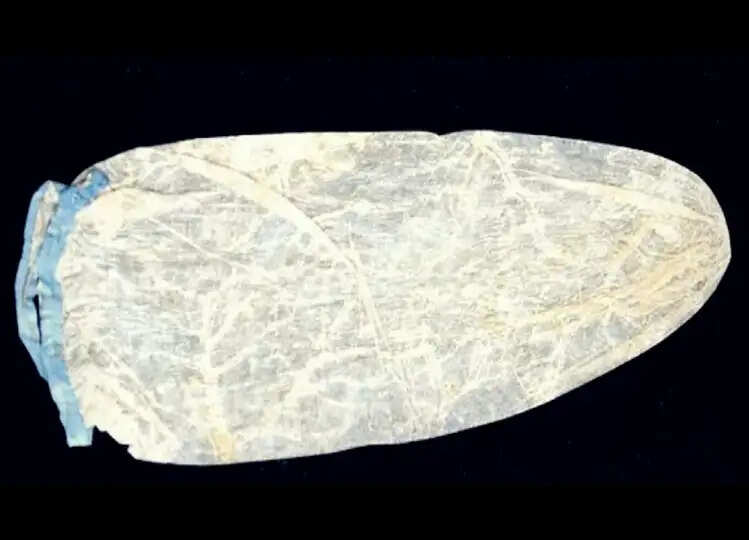 Most Expensive Condom : ये है दुनिया का सबसे महंगा कंडोम, कीमत और साइज के बारे में जानकर उड़ जाएंगे होश!