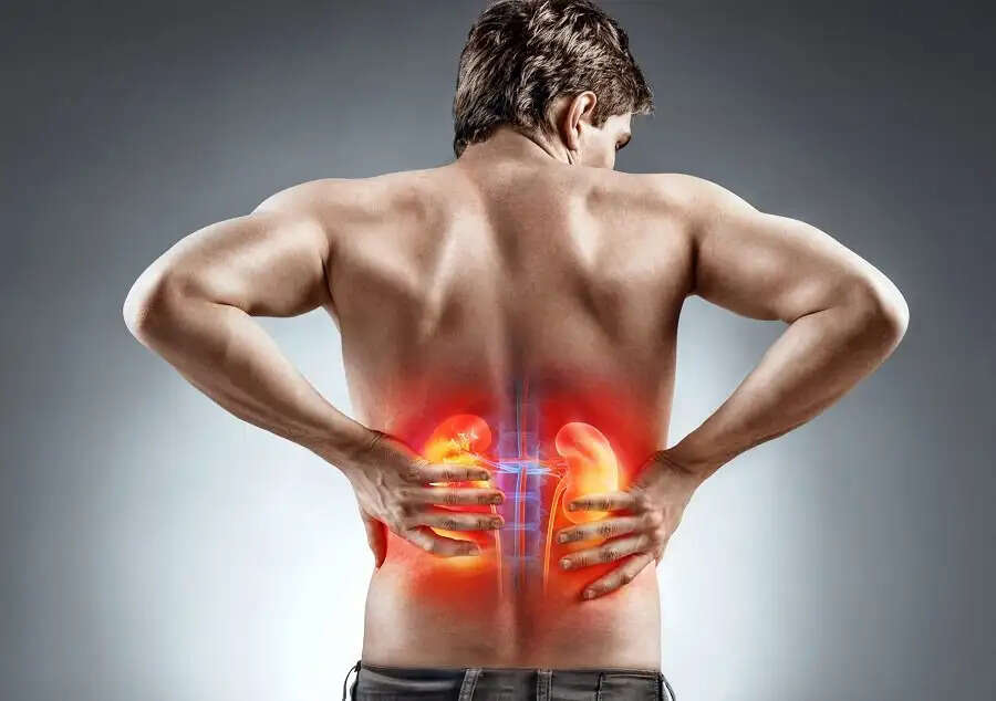 Health Tips- शरीर के इस क्षेत्र में होता हैं किड़नी का दर्द, जानिए इसके बारे में