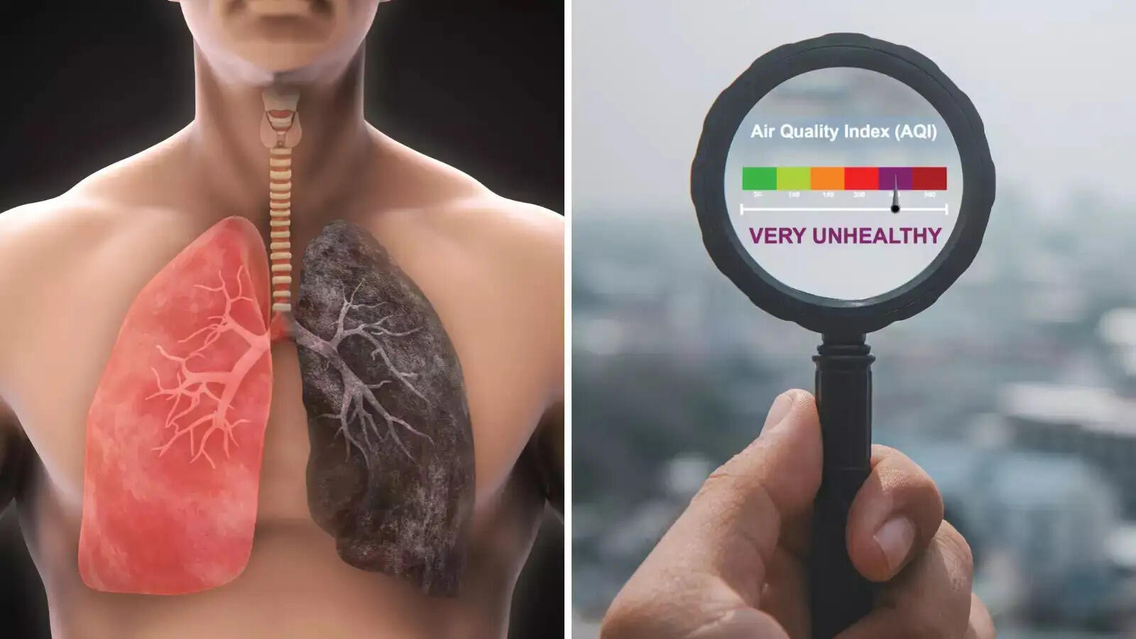 Air Quality Index- क्या अपने एरिया की Air Quality चेक करनी हैं, तो फॉलो करें ये टिप्स