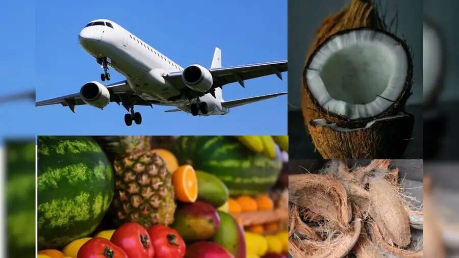 Flight Rules-&nbsp;फ्लाइट में आप नहीं ले जा सकते हैं ये फल, जानिए कौनसा हैं वो फल