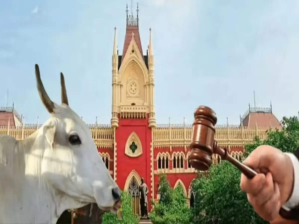 General News- कलकत्ता उच्च न्यायलय ने बकरीद से पहले लिया बड़ा फैसला, 'गाय कुर्बानी का हिस्सा