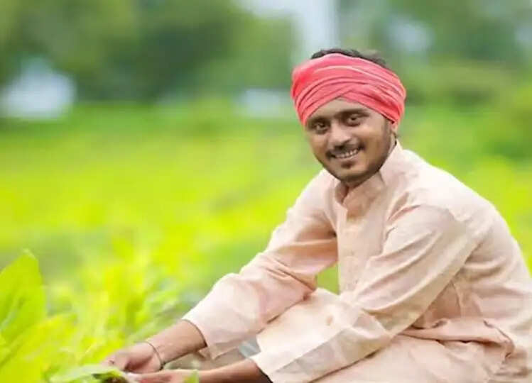 क्या बिना शादी वाले युवा किसान भी उठा सकते हैं पीएम किसान योजना का लाभ, जानें यहाँ