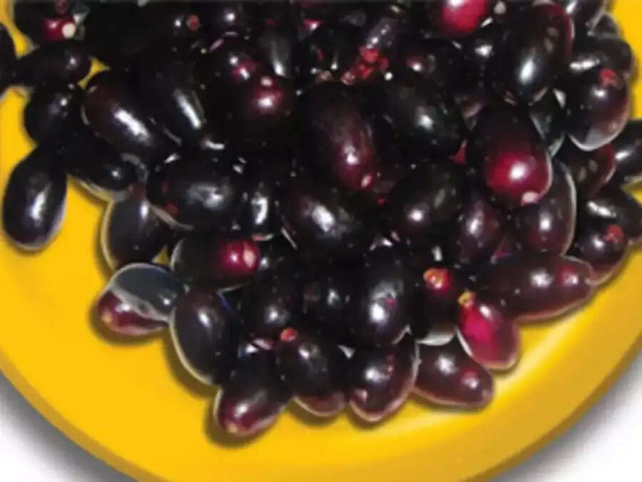 Health Tips- प्रतिदिन जामुन खाने के लाभ जानते हैं आप, आइए हम आपको बताते हैं