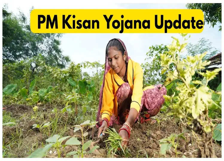 इन वजहों से नहीं मिलेगी PM Kisan योजना की किस्त, चेक करें आपने ऐसा किया है या नहीं