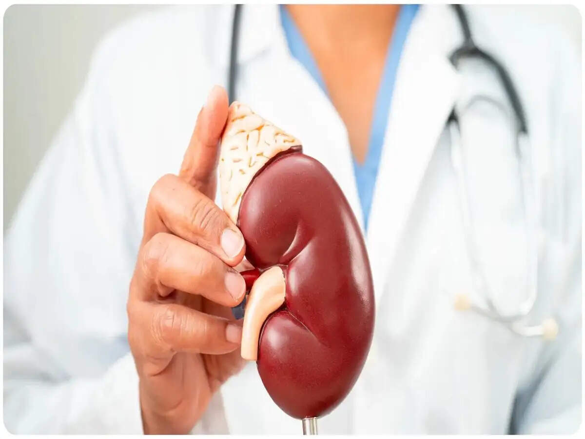 Health Tips- किडनी के मरीजों को इन चीजों का नहीं करना चाहिए सेवन, जानिए इनके बारे में