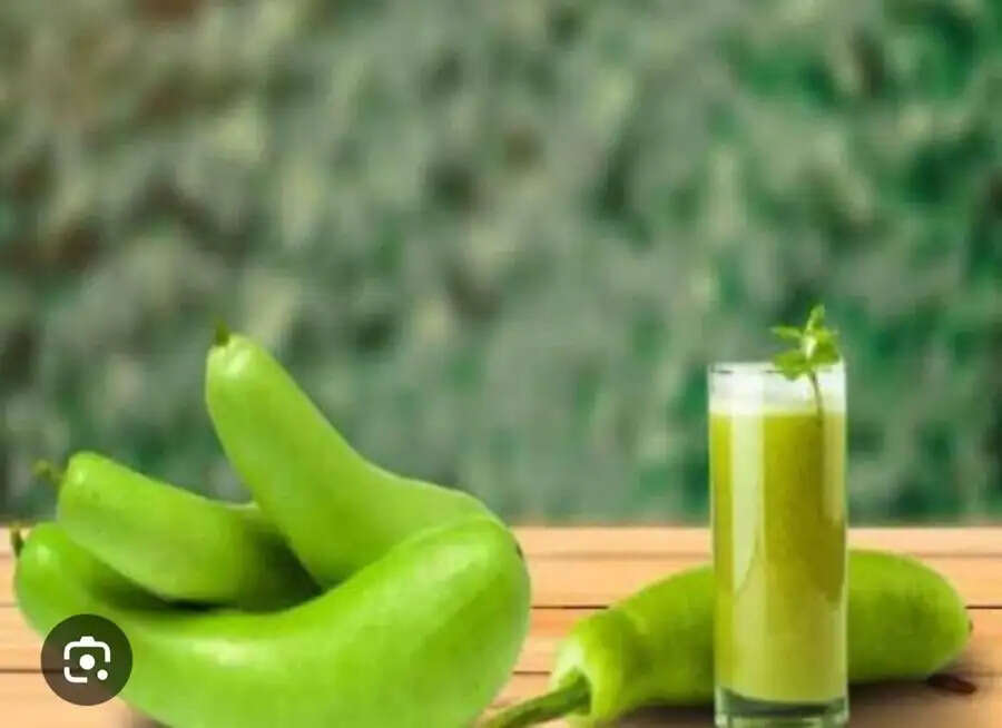 Health Tips- केवल स्वाद में ही नहीं, स्वास्थ्य के लिए भी फायदेमंद होती हैं लौकी की सब्जी, जानिए इसके सेवन के फायदों के बारे में