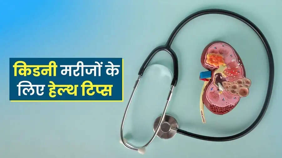 Health Tips-&nbsp;सर्द मौसम में इस तरह रखें अपनी किडनी का ख्याल, जानिए पूरी डिटेल्स