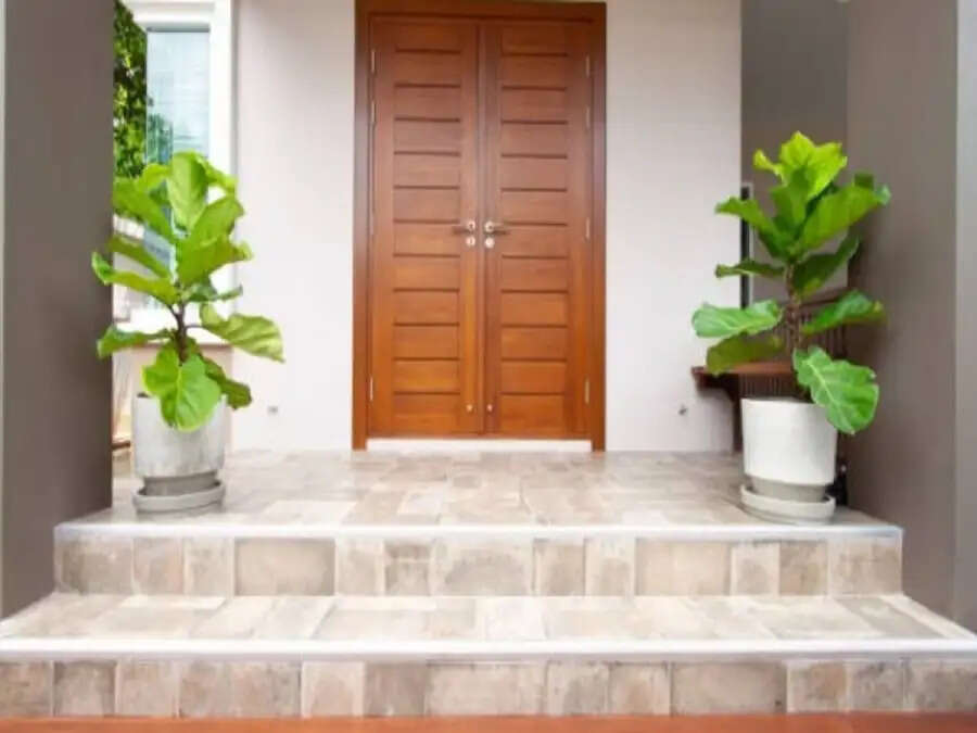 Vastu Tips-&nbsp;किस्मत जगाने के लिए घर के द्वार पर लगाए हैं ये पौधे, जानिए पूरी डिटेल्स