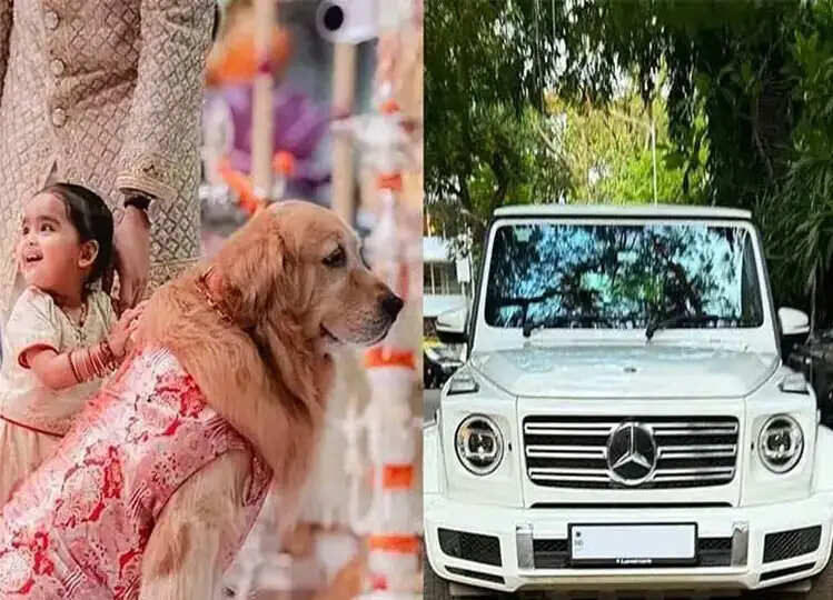 टोयोटा फॉर्चूनर से लेकर Mercedes-Benz G400D तक, इन लग्जरी गाड़ियों में सफर करता है Ambani परिवार का Dog ' हैप्पी अंबानी'