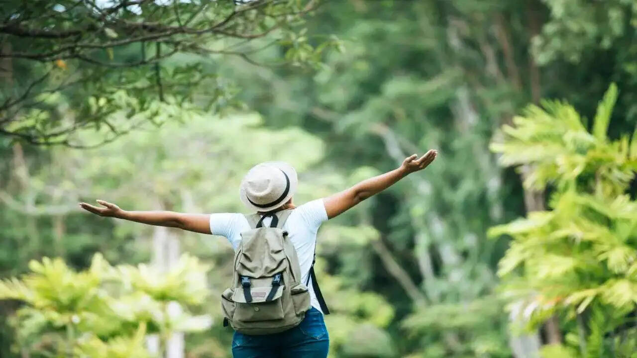 Travel Tips- क्या प्रदूषण से हो गए हैं परेशान, तो देश की इन जगहों पर जाएं घूमने