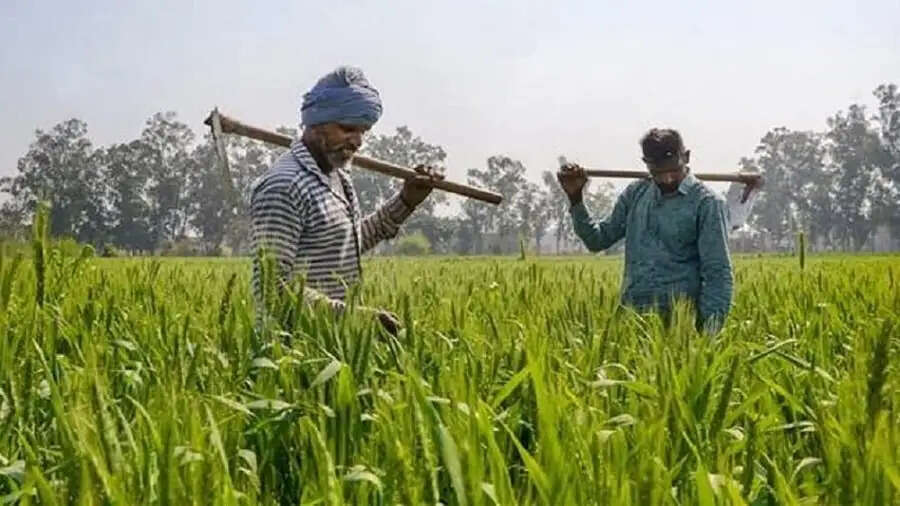 PMKSNY- गलतियां जिनकी वजह से नहीं आएगी आपके खाते&nbsp;में पीएम&nbsp;किसान योजना की अगली किस्त, जानिए इन गलतियों के बारे में