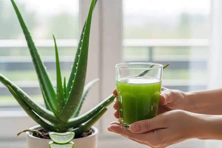 Health Tips-  एलोवेरा जूस पीने से मिलते हैं ये विटामिन, ऐसे करें इसका सेवन