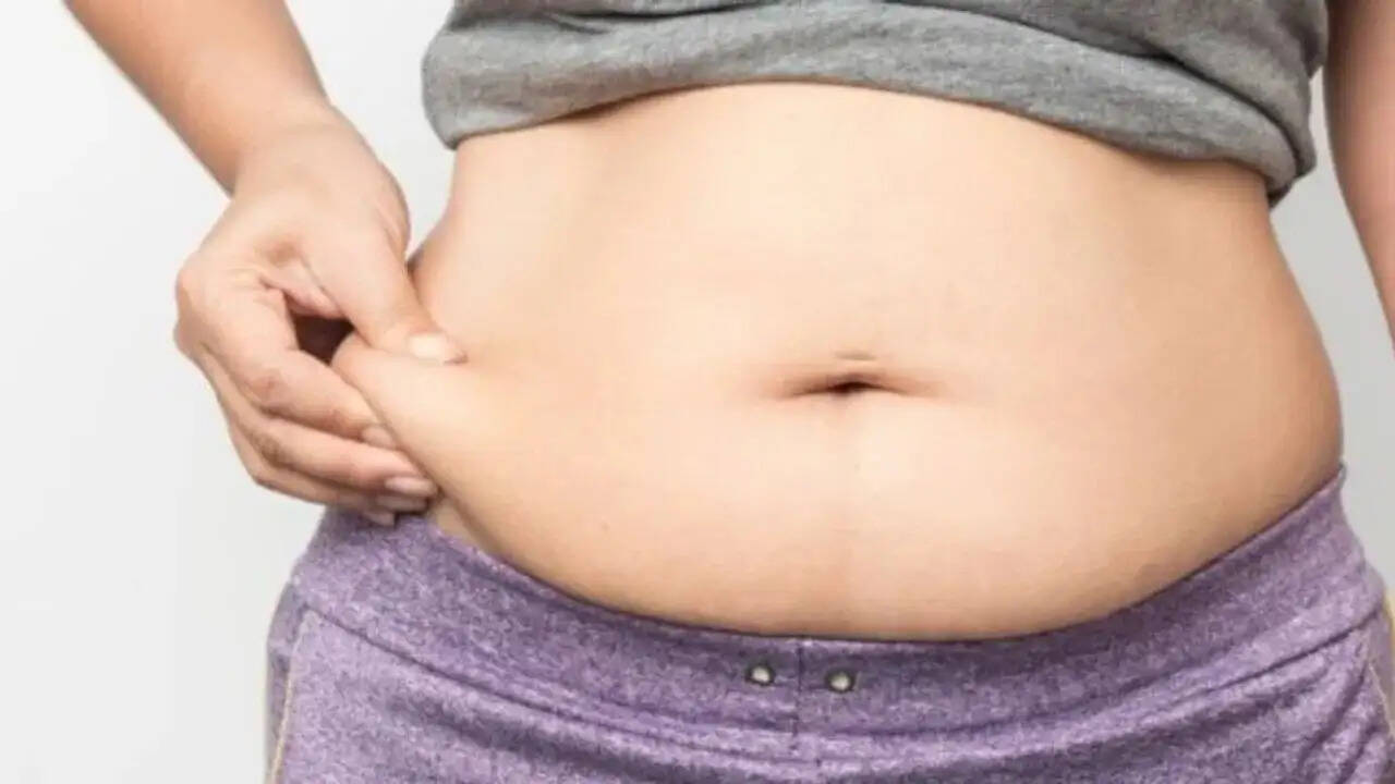 Health Tips- क्या पेट की चर्बी से परेशान हैं, कम करने के लिए अपनाएं ये हेल्दी डाइट