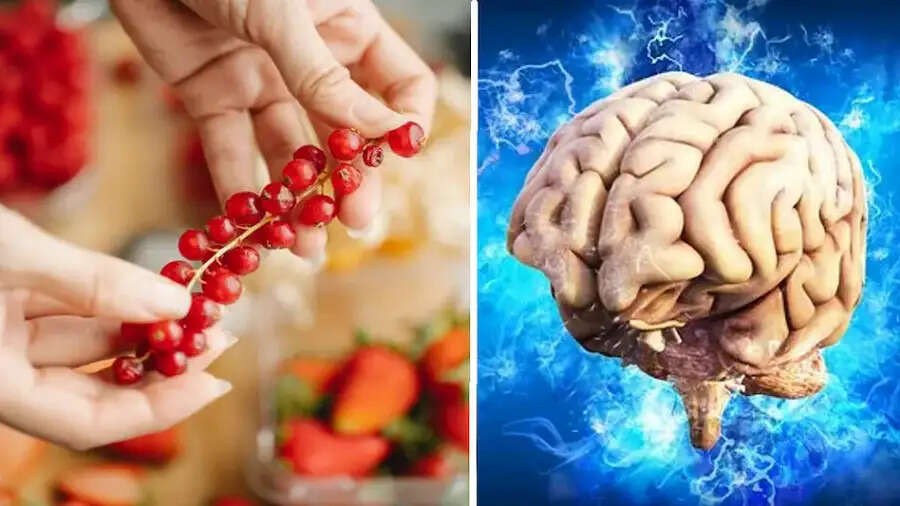 Health Tips-  दिमाग को खराब कर देती हैं ये चीजें, जानिए इनके बारे में