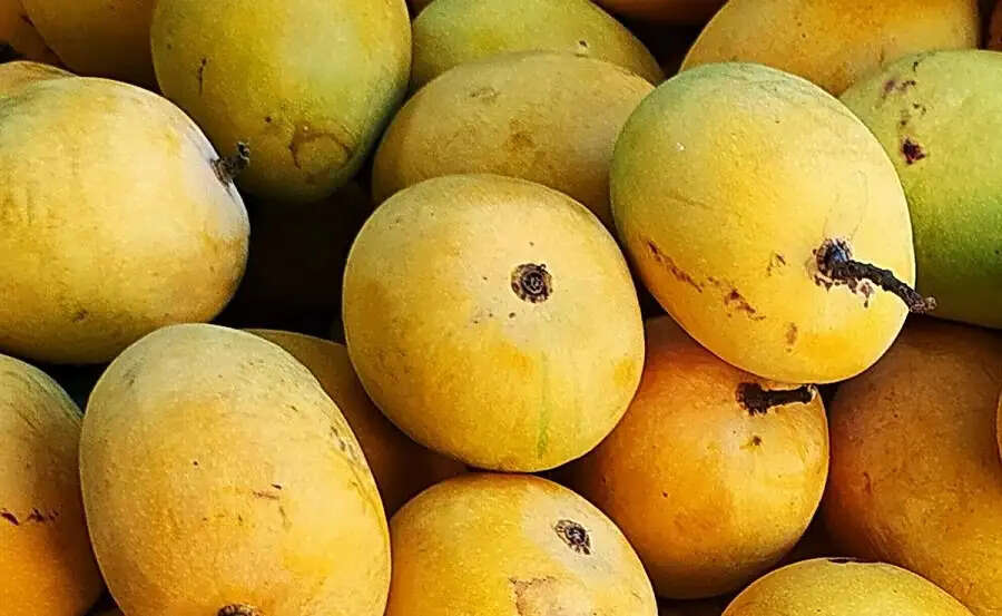 Health Tips- पक्के हुए आम खाने के स्वास्थ्य लाभ जानते हैं, आइए हम आपको बताते हैं