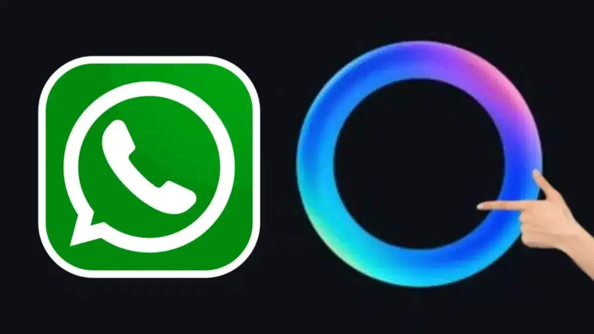 WhatsApp Tips- WhatsApp पर मौजूद नीला गोला होता हैं बड़े काम का, जानिए कैसे कर सकता हैं आपकी मदद