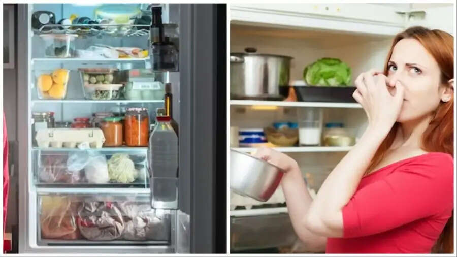 Freeze Storage Tips-&nbsp;फ्रिज में भूलकर भी नहीं रखनी चाहिए ये चीजें, जानिए पूरी डिटेल्स