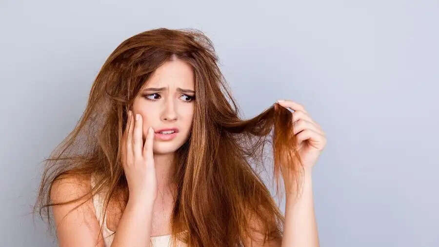 Hair Care Tips-  गर्मी के कारण बाल हो गए हैं रूखें और बेजान, तो इन चीजों का करें इस्तेमाल