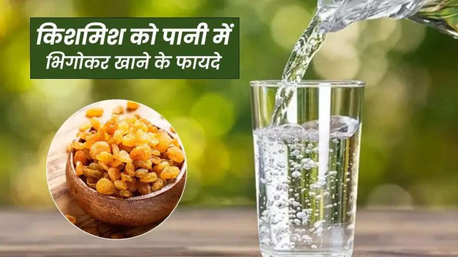 Health Tips- खाली पेट भीगी किशमिश सेवन से मिलते हैं कई स्वास्थ्य लाभ, जानिए पूरी डिटेल्स