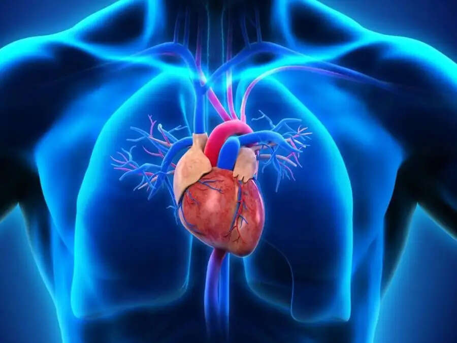 Health Tips- इंसान की मौत के बाद भी जिंदा रहते हैं उसके शरीर के ये अंग, जानिए इनके बारे में