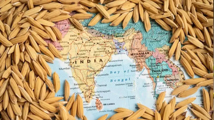General Tips-&nbsp;भारत इन देशों को बेचता हैं चावल, जानिए पूरी डिटेल्स